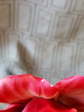 Porcelain Pink Flower Figurine