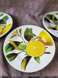 Lot of 3 ValoriHome Lemon Salad Plates