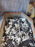 Pair of Puzzles