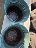 Pair of Large Teal Plastic Planters