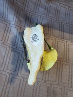 Boehm Bone Porcelain 200-56-Y Yellow Rose Figurine