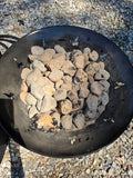 Outland Living Firebowl - Portable 21" Propane Fire Pit