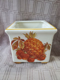 Pineapple and Strawberry Square Planter