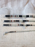 Daiwa Minicast System Fishing Pole