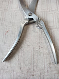 Saneli Stainless Steel Poultry Shears