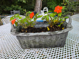 Basket Style Resin Planter w/Dirt