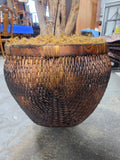Very Large Faux Ming Aralia Tree in Basket