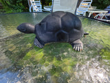 Black Cast Metal Turtle,  Garden Decor