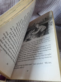 Lot of Marguerite Henry Horse Books