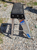 Werner 2' Aluminum Ladder