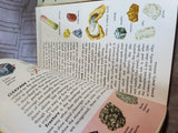 Lot of 4 Golden Nature Guide Books