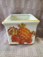 Pineapple and Strawberry Square Planter