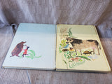 Lot of Children's Books