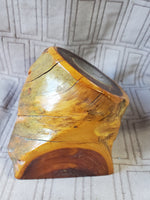 (A) Embedded Coin Wood Stump