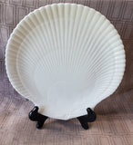 Wedgwood "Nautilus Collection" Seashell Plate
