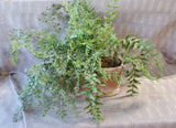 Faux Greenery Arrangement in Oblong Planter
