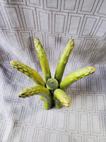 Ceramic Asparagus Tea Light Candle Holder