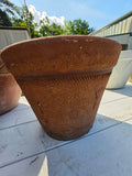 Medium Rustic Terracotta Planter