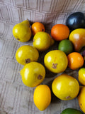 Lot of Decorative Plastic Fruit