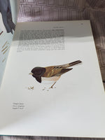 North American Birds Book