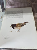 North American Birds Book