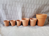 Assorted Lot of Terracotta Planters
