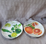 Set of 4 Pier 1 Citrus Fruit Salad Melamine Plates