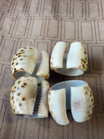 Set of 4 Tiger Cowrie Napkin Rings