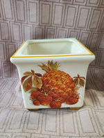 Pineapple and Strawberry Square Planter