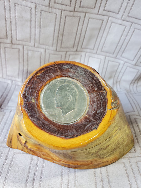 (A) Embedded Coin Wood Stump