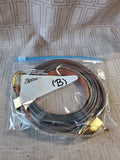Pair of Dooney & Bourke Leather Belts (B)—Women's Size Large