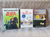 Lot of Children's Chapter Books