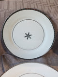 10 Piece Threshold Porcelain Snowflake Dish Set