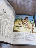 Pair of Children's Bibles
