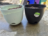 Two Plastic Self-Watering  Planters w/Dirt