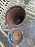 Duo of Earth Tone Planters, One w/Fixed Saucer (L)