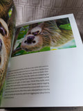 New on Earth Baby Animals in the World Book