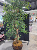 Very Large Faux Ming Aralia Tree in Basket