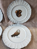Set of 4 World Market Woodland Animal Salad Plates
