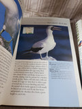 Pair of Field Guide to Birds of North America Books