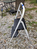 2-Step Folding Ladder/Stool