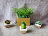 Faux Plant Lot