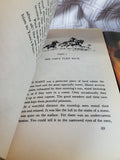Lot of Marguerite Henry Horse Books