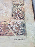 Set of 4 Pimpernell "Tuscan Palette" Placemats