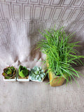 Faux Plant Lot