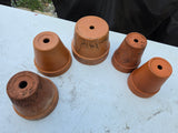 5-Piece Small Terracotta Pot Lot