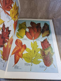 The Random House Book of Trees of North America
