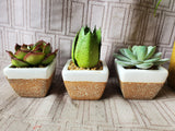 Faux Plant Lot