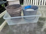 Small Planter Lot (V)