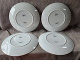 10 Piece Plastic Americana Dinner and Salad Plate Set